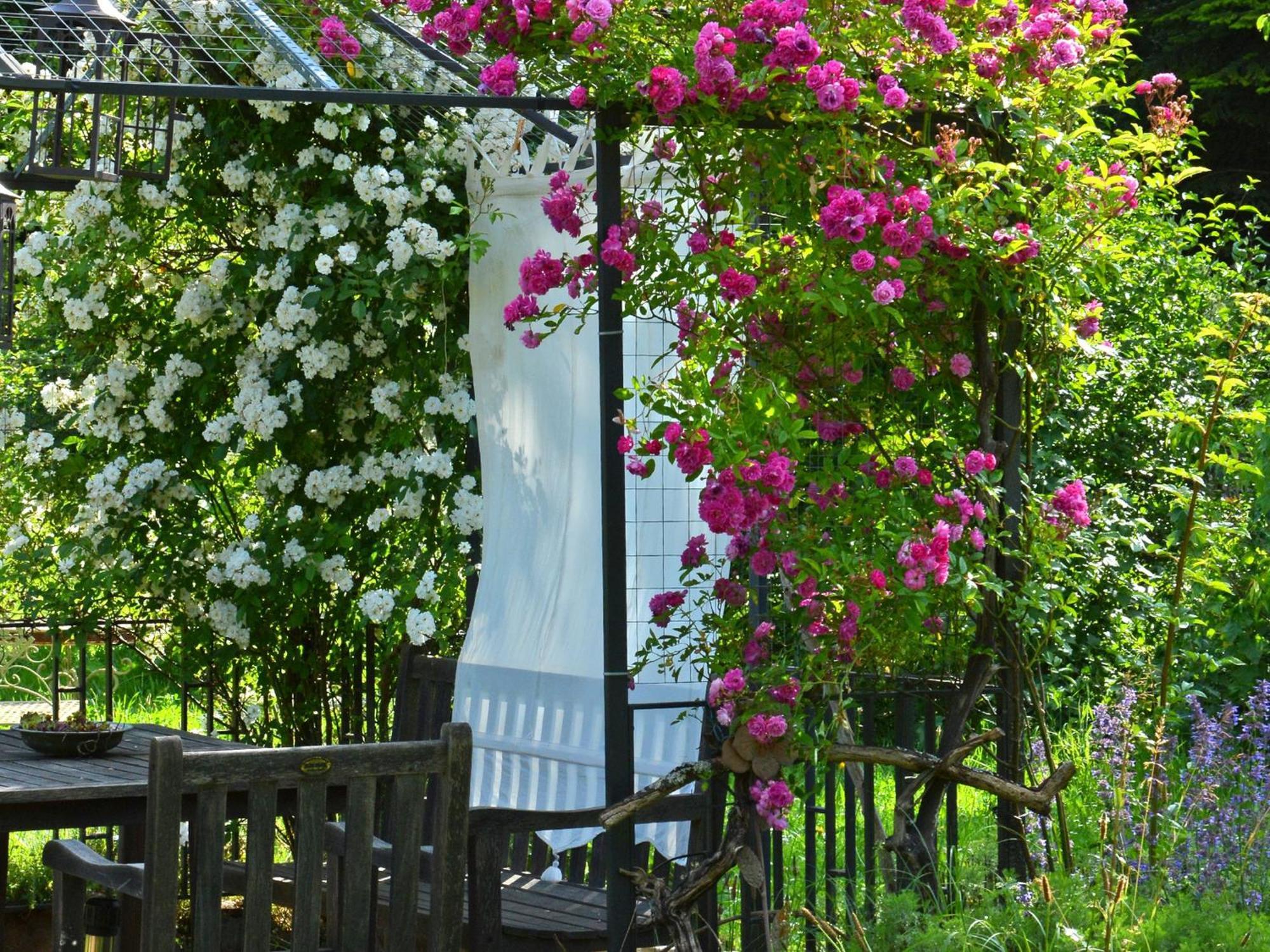 Im Vital Art Naturgarten Zweibrücken Buitenkant foto