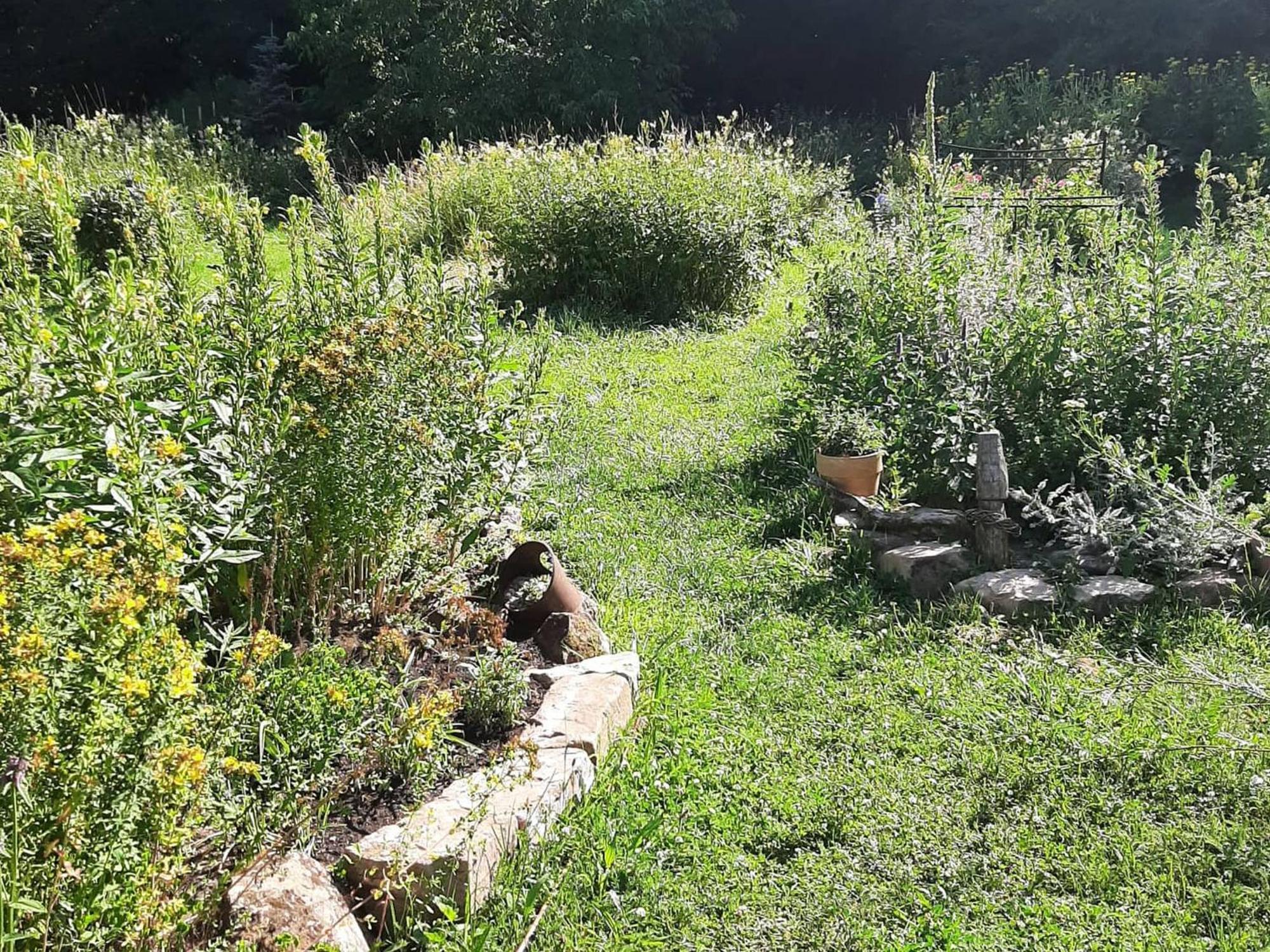 Im Vital Art Naturgarten Zweibrücken Buitenkant foto