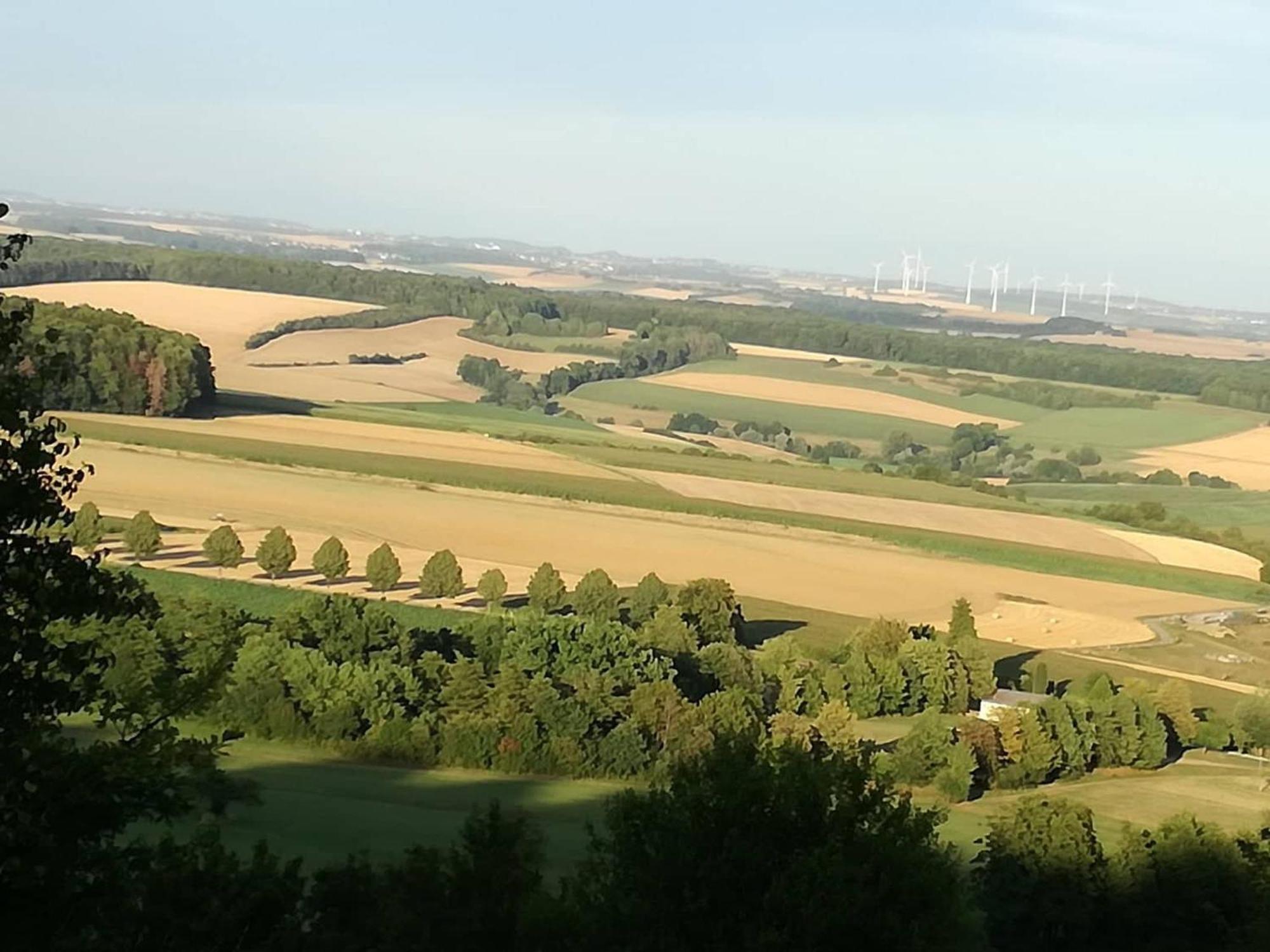Im Vital Art Naturgarten Zweibrücken Buitenkant foto